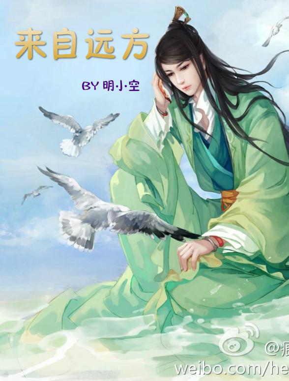 来自远方的爱什么意思