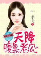 天降萌宝腹黑爹地送上门 作者袅袅鱼音