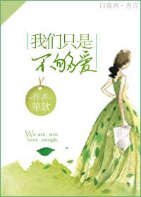 只是不够爱的歌词意境