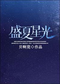 盛夏星光by抓星星TXT