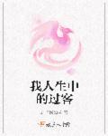 我人生中的过客歌词