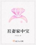 丑妻家中宝打一生肖