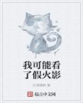 火影我能看见bug