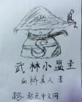 武林盟主百度百科