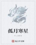 孤星寒月21-28
