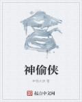 神偷笑面侠完整版