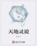 天地灵石是什么东西
