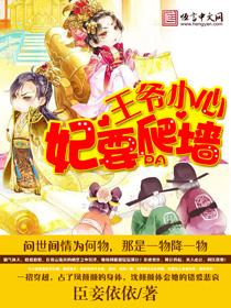 王爷小心宠王妃马甲