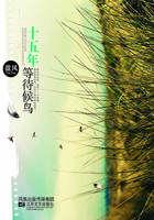 十五年等待候鸟电视剧全集免费观看