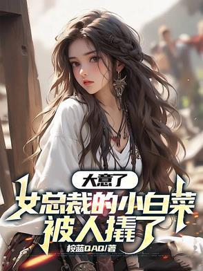 女总裁和小白脸