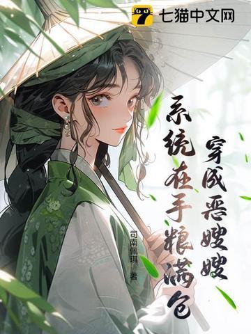 穿越之恶嫂手册 完结