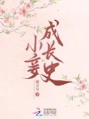 小妾是这样炼成的