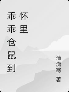 仓鼠呆住表情包