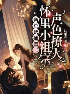 靳总什么电视剧