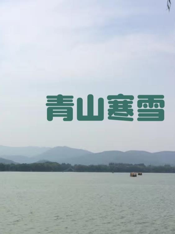 寒雪青松