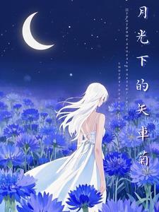 月光下的菊花