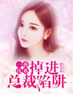 一夜沉婚免费全文阅读