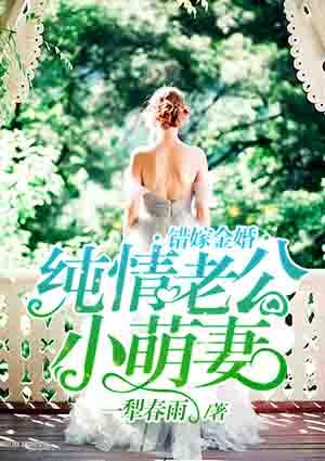 错嫁甜婚老公吻安免费阅读