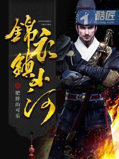 锦衣镇山河讲了什么