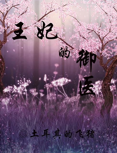 王妃医生穿越