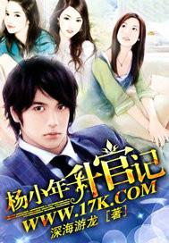 杨小年升官记第二部