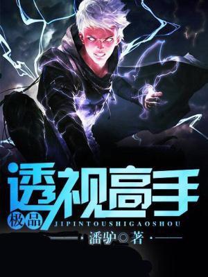 极品透视高手叶寒免费阅读