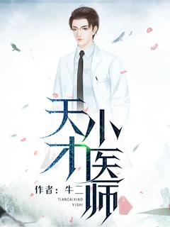 天才小医生电视剧