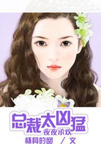 霸道全文免费阅读