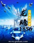 龙腾多少钱