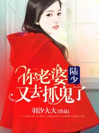陆少你老婆又造作了