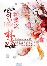 红楼之嫁林海