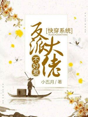 快穿系统反派大佬不好惹txt