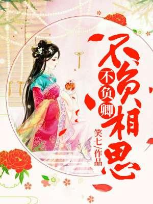 不负相思不负心免费阅读