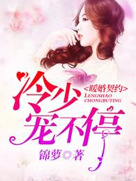 暖婚宠妻超给力