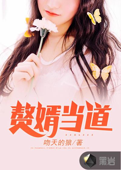入赘之婿什么意思