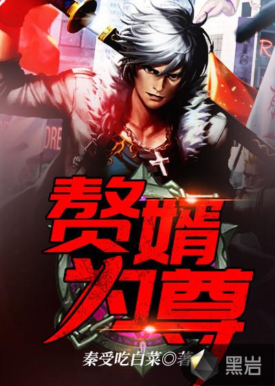 赘婿为尊叶无道无广告免费