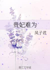 贵妃难为男主是谁