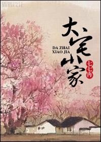 大宅小家全文阅读