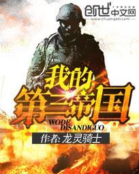 我的第三帝国 顶点