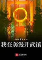 我在美漫开武馆txt 平板电子