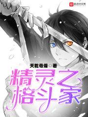 格斗系小精灵