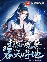 魂兽在哪里