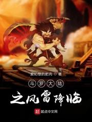 斗罗大陆之风雷双翼