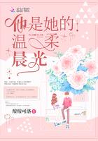 他是她的光全文免费阅读