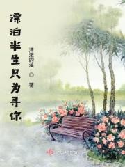 漂泊半生终是雨打归舟
