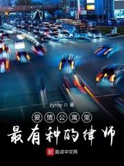 爱情公寓中的律师