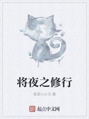 将夜的修行境界划分