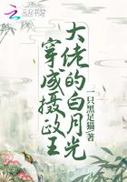 穿成摄政王的画中喵格格党