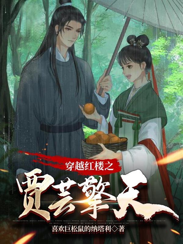 穿越红楼之贾琮