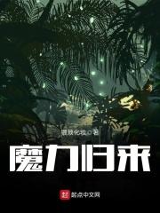 魔力归来交易